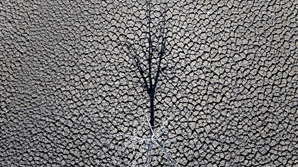 Klimazertifikate aus Drittländern könnten künftig mit EU-Emissionen verrechnet werden. (Symbolbild) Klimazertifikate aus Drittländern könnten künftig mit EU-Emissionen verrechnet werden. (Symbolbild)