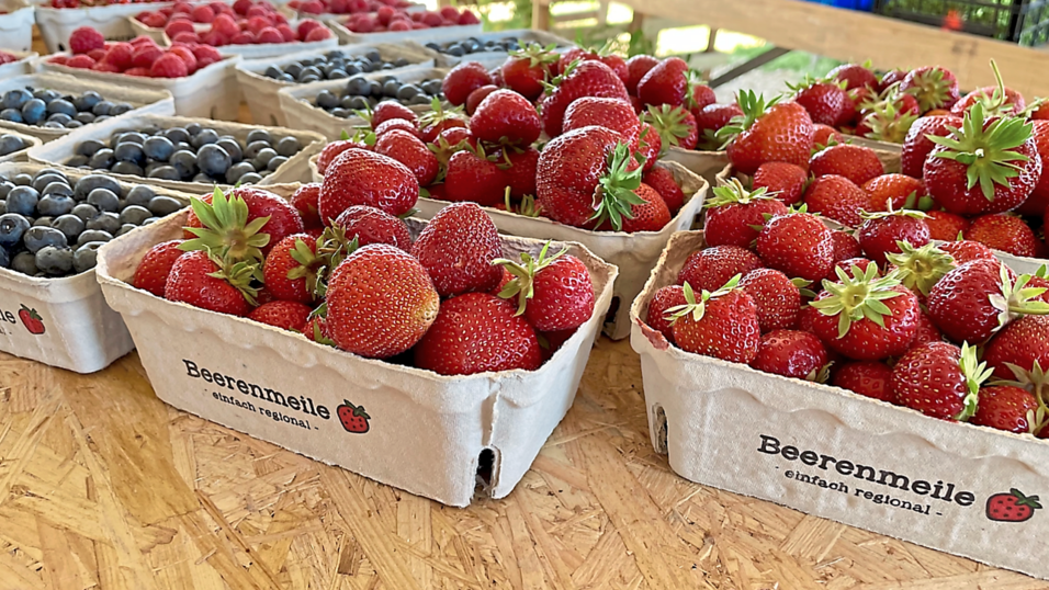 Saftig und gl&auml;nzend kommen die Beeren der Beerenmeile in Regensburg daher. Doch in diesem Jahr lassen sich deutlich weniger Menschen von den s&uuml;&szlig;en Fr&uuml;chten verf&uuml;hren.