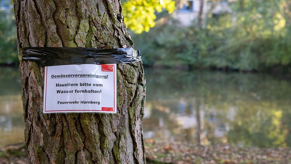 Am Langwassersee in Nürnberg gab es ein rätselhaftes Fischsterben. Am Langwassersee in Nürnberg gab es ein rätselhaftes Fischsterben.