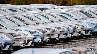 Elektrofahrzeuge von BYD stehen im Hafengebiet von Wilhelmshaven. Chinesische Hersteller drängen weiter auf den EU-Automarkt. (Archivbild) Elektrofahrzeuge von BYD stehen im Hafengebiet von Wilhelmshaven. Chinesische Hersteller drängen weiter auf den EU-Automarkt. (Archivbild)