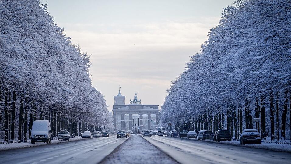 Verschneite Bäume glitzerten im Tiergarten.