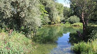 Ein Magnetfischer hat aus dem Mühlbach im Bereich Grünau eine Granate aus dem Wasser gezogen. Ein Magnetfischer hat aus dem Mühlbach im Bereich Grünau eine Granate aus dem Wasser gezogen.
