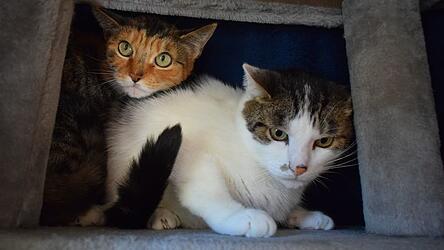 Charly und Lilly Charly und Lilly