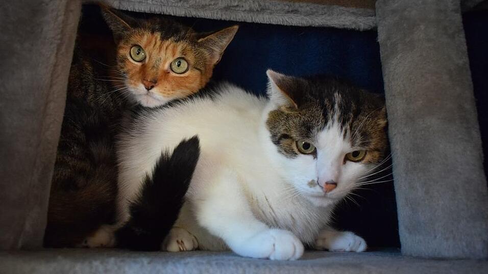 Charly und Lilly Charly und Lilly