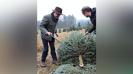 Der symbolische Schnitt in der Christbaumplantage.