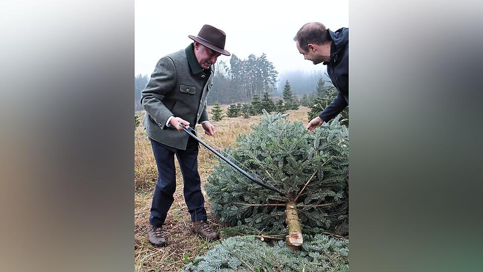 Der symbolische Schnitt in der Christbaumplantage.