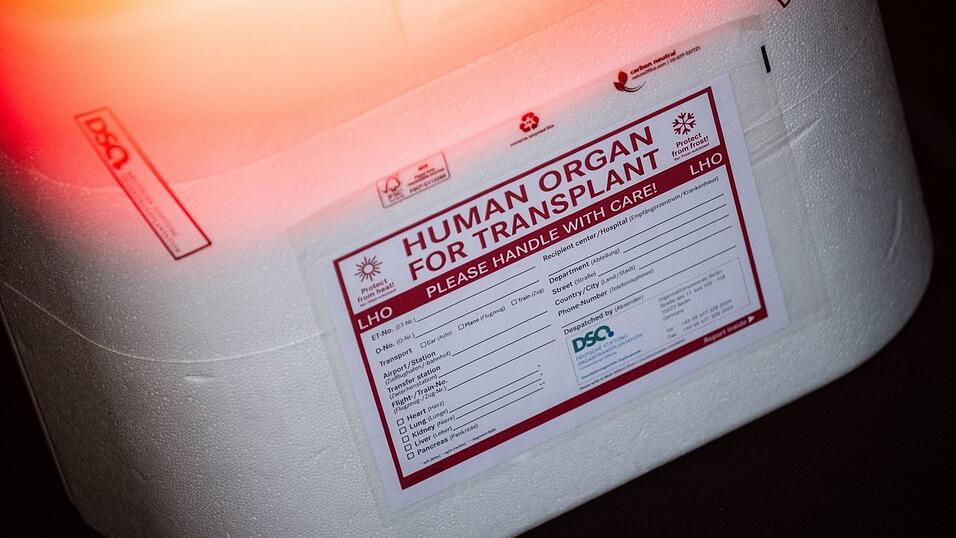 Die Ersatzorgane werden in einer K&uuml;hlbox transportiert. (Symbolbild)