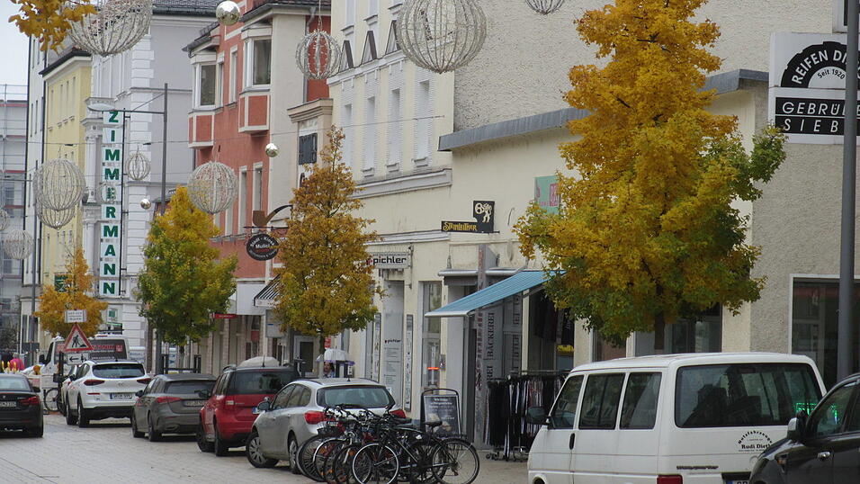 Ein städtischer Wunderbaum: Er verträgt strengen Frost ebenso wie monatelange Trockenheit. Ein städtischer Wunderbaum: Er verträgt strengen Frost ebenso wie monatelange Trockenheit.