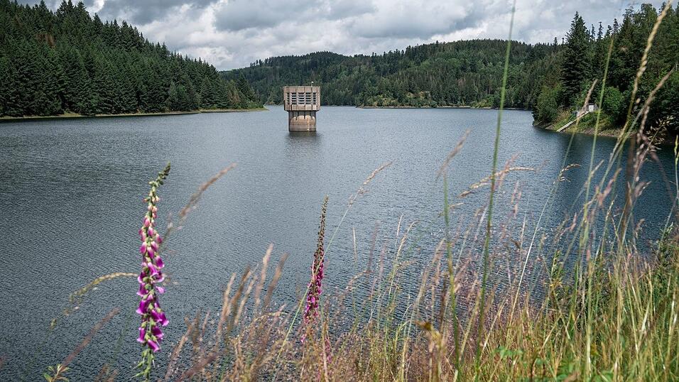 Bei den Plänen zur Stärkung der Fernwasserversorgung in Bayern rückt die Option einer dritten Talsperre, wie hier die Ködeltalsperre in Oberfranken, in den Fokus. (Archivbild) Bei den Plänen zur Stärkung der Fernwasserversorgung in Bayern rückt die Option einer dritten Talsperre, wie hier die Ködeltalsperre in Oberfranken, in den Fokus. (Archivbild)