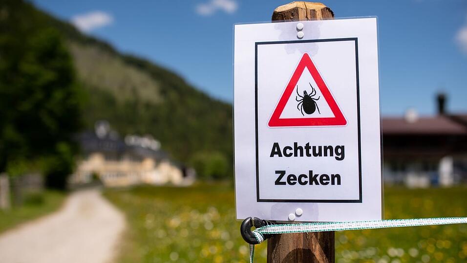 Zecken &uuml;bertragen Krankheiten. (Archivbild)