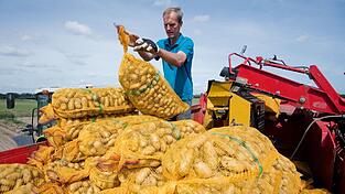 25-Kilogramm-Säcke sind in Supermärkten mittlerweile die Ausnahme. Die Tendenz geht zu immer kleineren Kartoffel-Verpackungen.