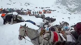 Dorfbewohner stiegen mit Pferden und Ochsen auf den Mount Everest, um zu den Wanderern zu gelangen. (Archivbild)