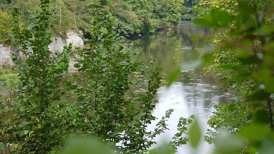 Wunderschönes Ausflugsziel in Passau: die Halser Ilzschleifen. Wunderschönes Ausflugsziel in Passau: die Halser Ilzschleifen.