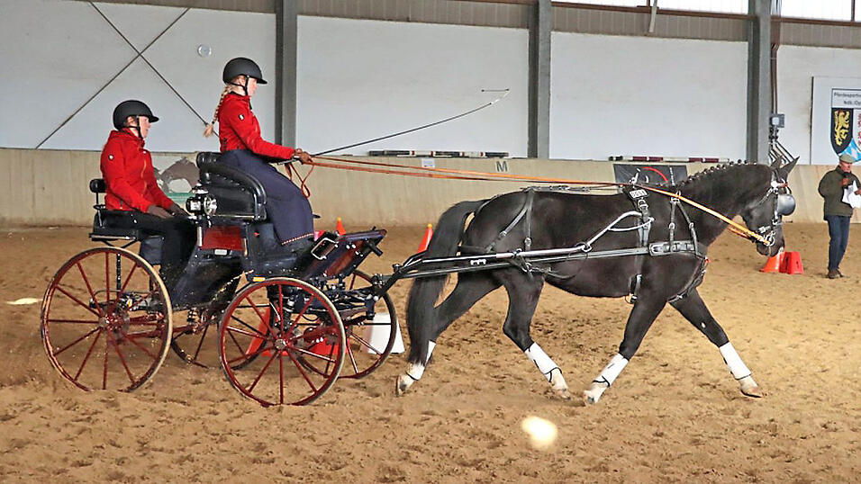 Die Vize-Europameisterin Children, Sophia Ihnen, zeigte beim 'Tag der Besten' in der Reithalle des Pferdesportverbands Niederbayern-Oberpfalz mit ihrem Pony vor der Kutsche eine gekonnte Vorstellung. Die Vize-Europameisterin Children, Sophia Ihnen, zeigte beim 'Tag der Besten' in der Reithalle des Pferdesportverbands Niederbayern-Oberpfalz mit ihrem Pony vor der Kutsche eine gekonnte Vorstellung.
