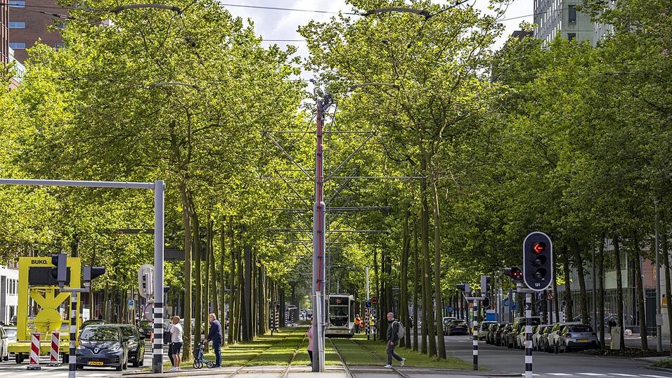 Das „Schwammstadtprinzip“ soll als verbindlicher Planungsstandard im bayerischen Baurecht verankert werden. Das „Schwammstadtprinzip“ soll als verbindlicher Planungsstandard im bayerischen Baurecht verankert werden.