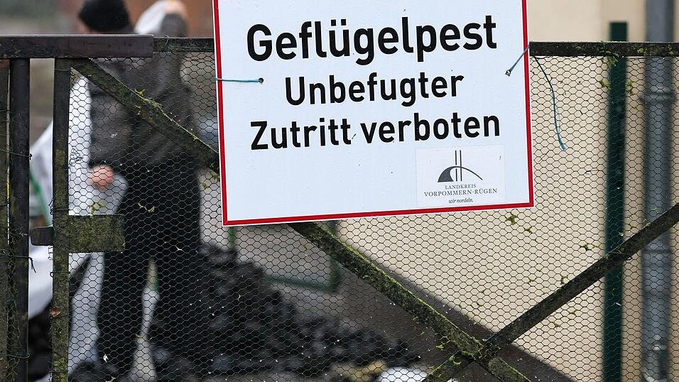 Blick auf ein Schild mit Warnhinweis am Zaun eines betroffenen Hofes. Blick auf ein Schild mit Warnhinweis am Zaun eines betroffenen Hofes.