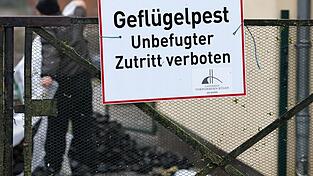 Blick auf ein Schild mit Warnhinweis am Zaun eines betroffenen Hofes.