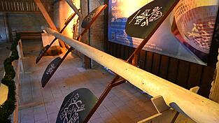 Das ist er nun: Der echte Maibaum f&uuml;r Rom.