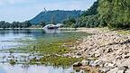Regenmangel macht sich am Donauufer bemerkbar. Regenmangel macht sich am Donauufer bemerkbar.