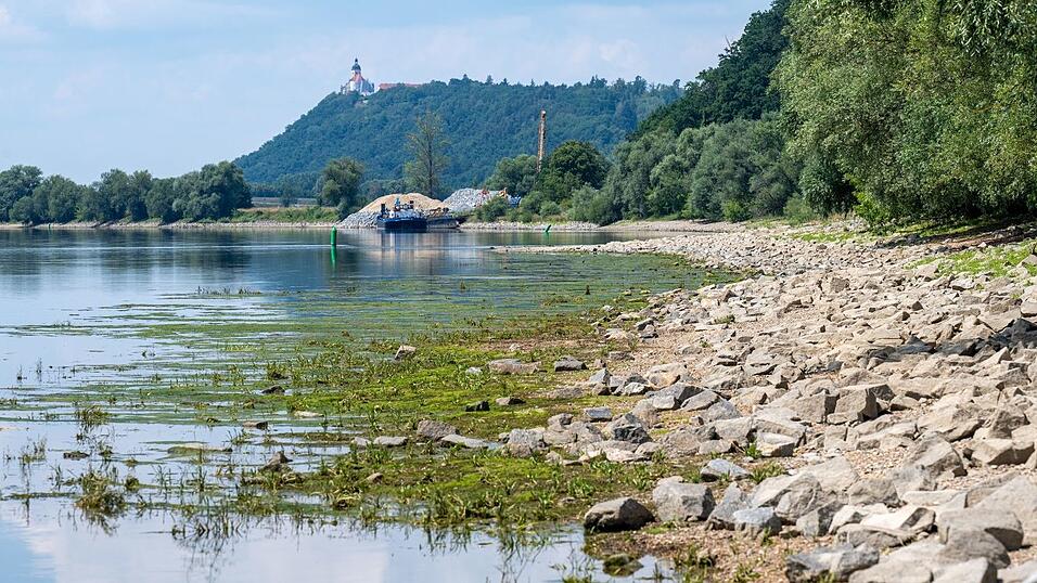 Regenmangel macht sich am Donauufer bemerkbar. Regenmangel macht sich am Donauufer bemerkbar.