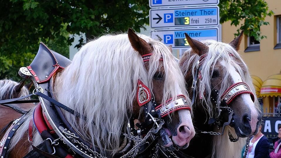 Zahlreiche Musik- und Trachtengruppen zogen nach dreij&auml;hriger Pause am Freitagabend zum Festplatz Am Hagen.