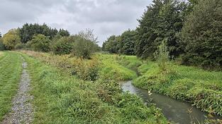 So sieht es heute in der Harthauser Anlage vor den Toren Alburgs aus: Der Allachbach schlängelt sich zwischen Büschen, Bäumen und Gras hindurch. Gleich daneben verläuft der Spazierweg.