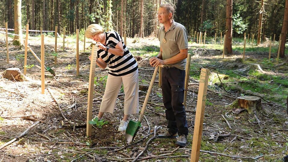 Barbara Unger und Klaus Stögbauer beim Pflanzen des Baumes. Barbara Unger und Klaus Stögbauer beim Pflanzen des Baumes.