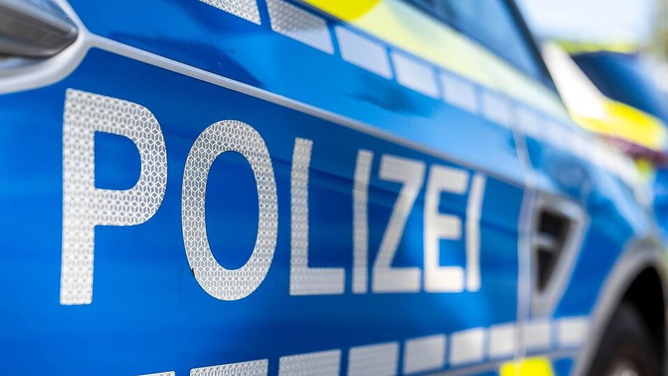 Eine junge Katze ist bei Pegnitz in ein verbotenes Tellereisen geraten. (Symbolbild) Eine junge Katze ist bei Pegnitz in ein verbotenes Tellereisen geraten. (Symbolbild)