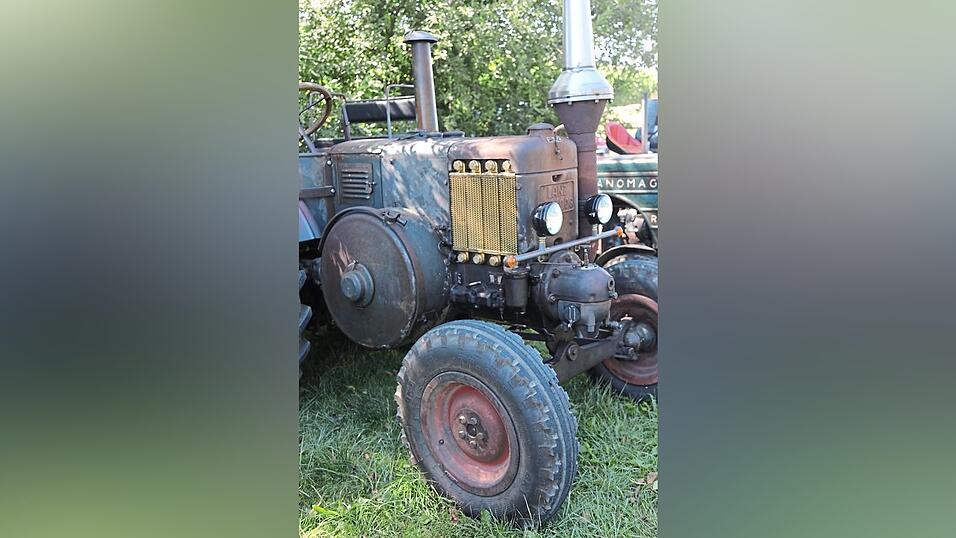 So sah ein Bulldog früher aus. So sah ein Bulldog früher aus.