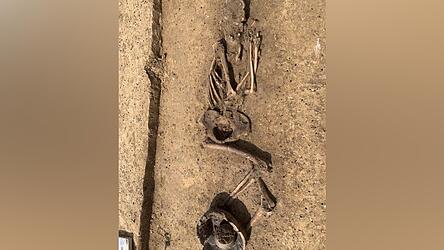 Eines der beiden m&auml;nnlichen Skelette.