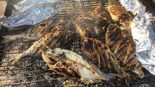 Gegrillter Fisch ist gerade im Sommer ein beliebtes Gericht. Vor allem die Dorade eignet sich gut dafür.