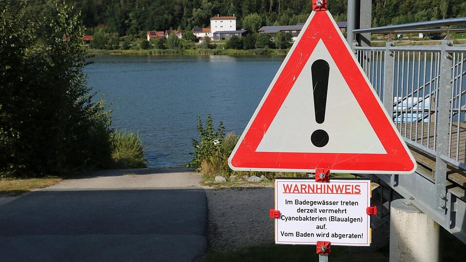 Ein Schild am Ufer des Drachensees warnt vorm Betreten des Gew&auml;ssers, da die Blaualgen bl&uuml;hen - und die sind mitunter reizend.