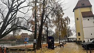 Drei Ginkgo-Bäume stehen laut Verzeichnis der Naturdenkmäler in Landshut beim Röcklturm. Drei Ginkgo-Bäume stehen laut Verzeichnis der Naturdenkmäler in Landshut beim Röcklturm.
