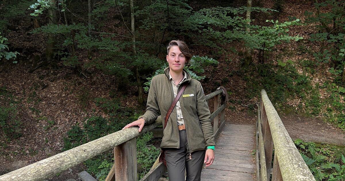 What Heidi Heigl finds appealing about her job as a ranger in the ...