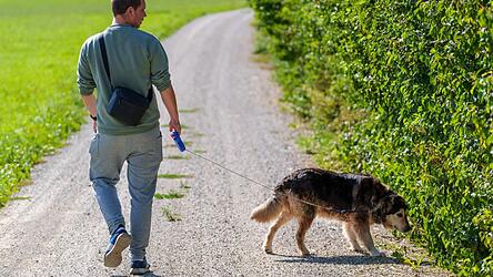 So stellt sich das B&uuml;rgermeister Krumbucher vor: Ein Spaziergang mit dem Hund gerne - aber bitte nur mit Leine. (Symbolbild)