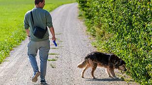 So stellt sich das Bürgermeister Krumbucher vor: Ein Spaziergang mit dem Hund gerne - aber bitte nur mit Leine. (Symbolbild) So stellt sich das Bürgermeister Krumbucher vor: Ein Spaziergang mit dem Hund gerne - aber bitte nur mit Leine. (Symbolbild)
