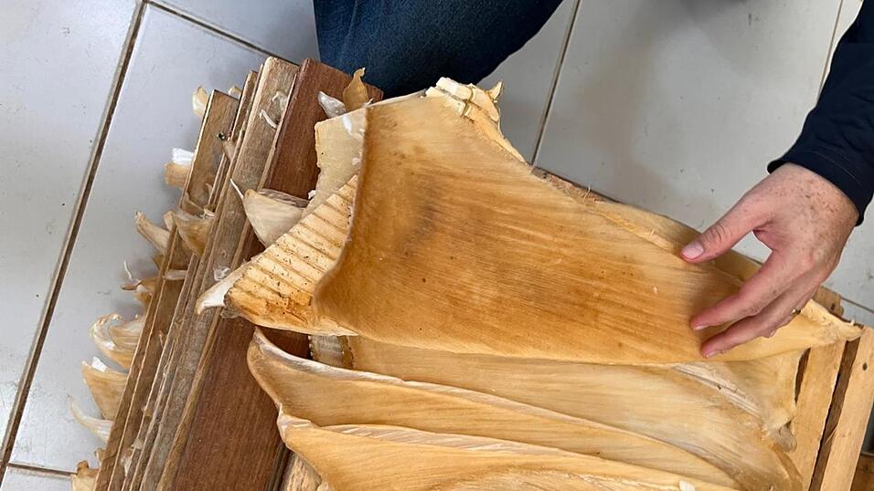 Die Polizei hat mehr als 1,5 Tonnen Haiflossen beschlagnahmt.