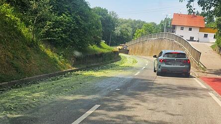 Ein 'Gurkenteppich' auf der Fahrbahn war in Mamming zu sehen. Die Stra&szlig;e konnte aber schnell wieder gereinigt werden.