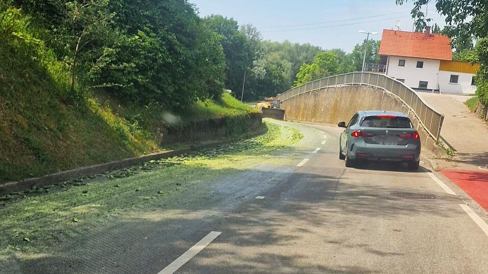 Ein 'Gurkenteppich' auf der Fahrbahn war in Mamming zu sehen. Die Straße konnte aber schnell wieder gereinigt werden. Ein 'Gurkenteppich' auf der Fahrbahn war in Mamming zu sehen. Die Straße konnte aber schnell wieder gereinigt werden.