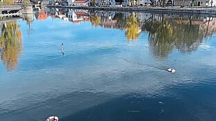 Ein Landshuter Künstlerkollektiv hat die Installation „der Patriot“ in der Isar ergänzt. Ein Landshuter Künstlerkollektiv hat die Installation „der Patriot“ in der Isar ergänzt.