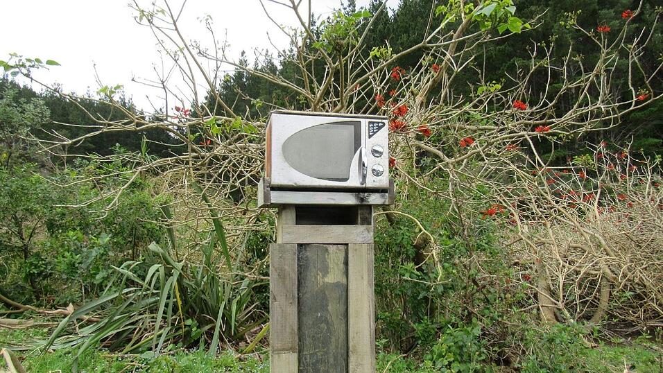 Impressionen von Elisas Auslandsjahr in Neuseeland.
