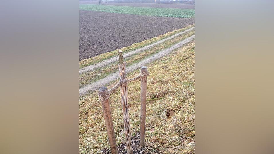Mutwillig sind zwei frisch gepflanzte Bäume zwischen Reibersdorf und Parkstetten abgeschnitten worden. Mutwillig sind zwei frisch gepflanzte Bäume zwischen Reibersdorf und Parkstetten abgeschnitten worden.