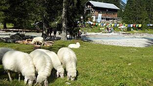 Der tragische Unfall ereignete sich unweit der Reintalangerh&uuml;tte des Alpenvereins. (Archivbild)