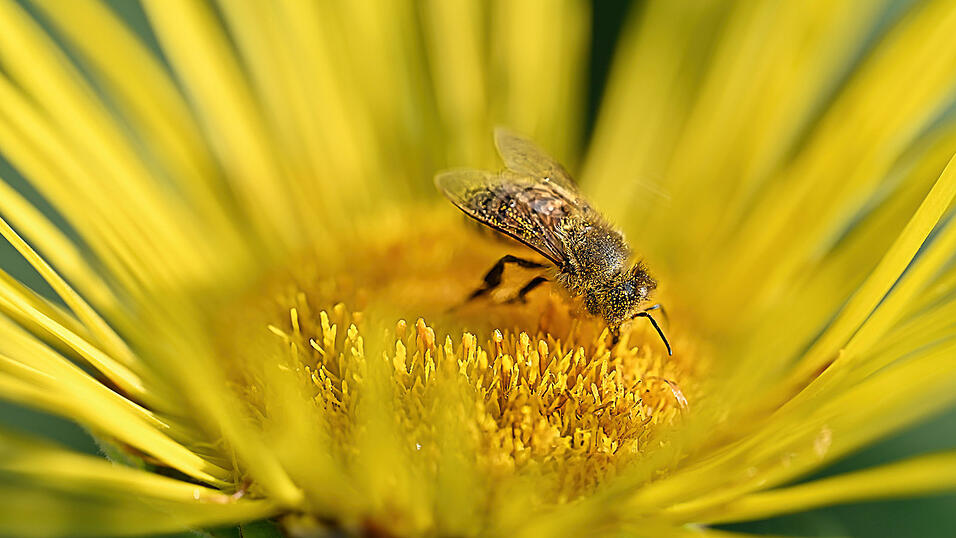 Platz 3: Angela M&uuml;nch