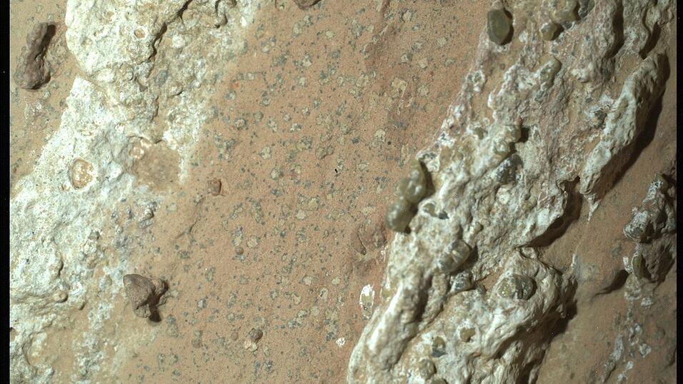 Eine vom Nasa-Rover «Perseverance» im vergangenen Jahr auf dem Mars entnommene Gesteinsprobe könnte nach Angaben der US-Raumfahrtbehörde möglicherweise Spuren von früherem mikrobiellen Leben enthalten.