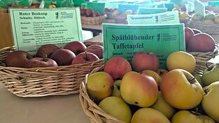 Der spätblühende Taffetapfel blüht erst Ende Mai, was Frostschäden reduziert - eine zukunftsfähige Sorte, meint Hans Göding vom Lehrbetrieb für Obstbau. Der spätblühende Taffetapfel blüht erst Ende Mai, was Frostschäden reduziert - eine zukunftsfähige Sorte, meint Hans Göding vom Lehrbetrieb für Obstbau.