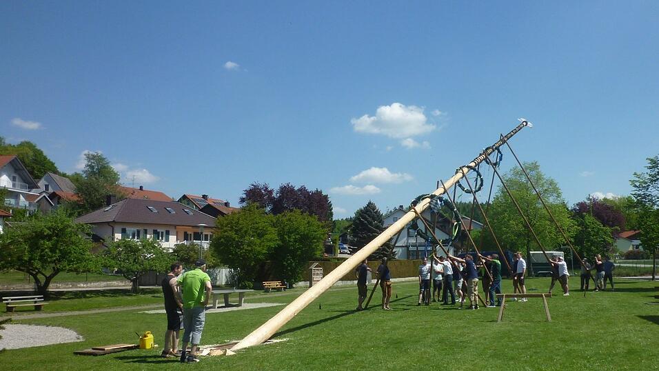 Bei strahlendem Sonnenschein und weißblauem Himmel stellten die Eberspointer Gartler dieses Jahr wieder einen Maibaum auf. Gestiftet von Familie Wagner, schmückt dieser nun die Dorfmitte. Bei strahlendem Sonnenschein und weißblauem Himmel stellten die Eberspointer Gartler dieses Jahr wieder einen Maibaum auf. Gestiftet von Familie Wagner, schmückt dieser nun die Dorfmitte.