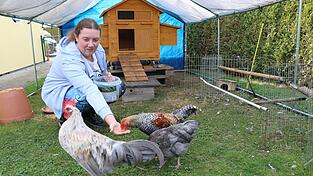 H&auml;hne und Henne sind handzahm und fressen Felicitas Neubert aus der Hand.
