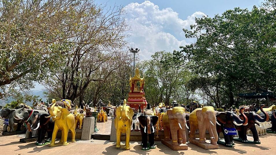 In Thailand werden Elefanten tief verehrt, auch in vielen Tempeln. (Archivbild)