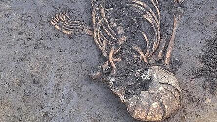 Das Skelett besch&auml;ftigt die Arch&auml;ologen und wirft Fragen auf.